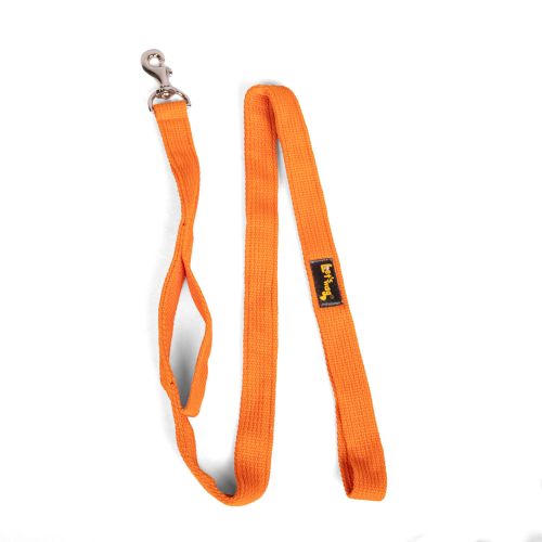 Double Handle Leash