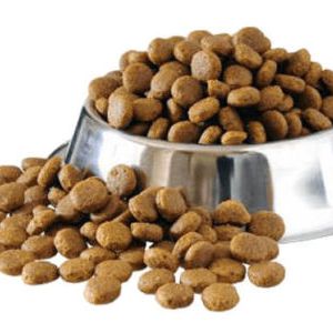 Chicken & Rice Snack